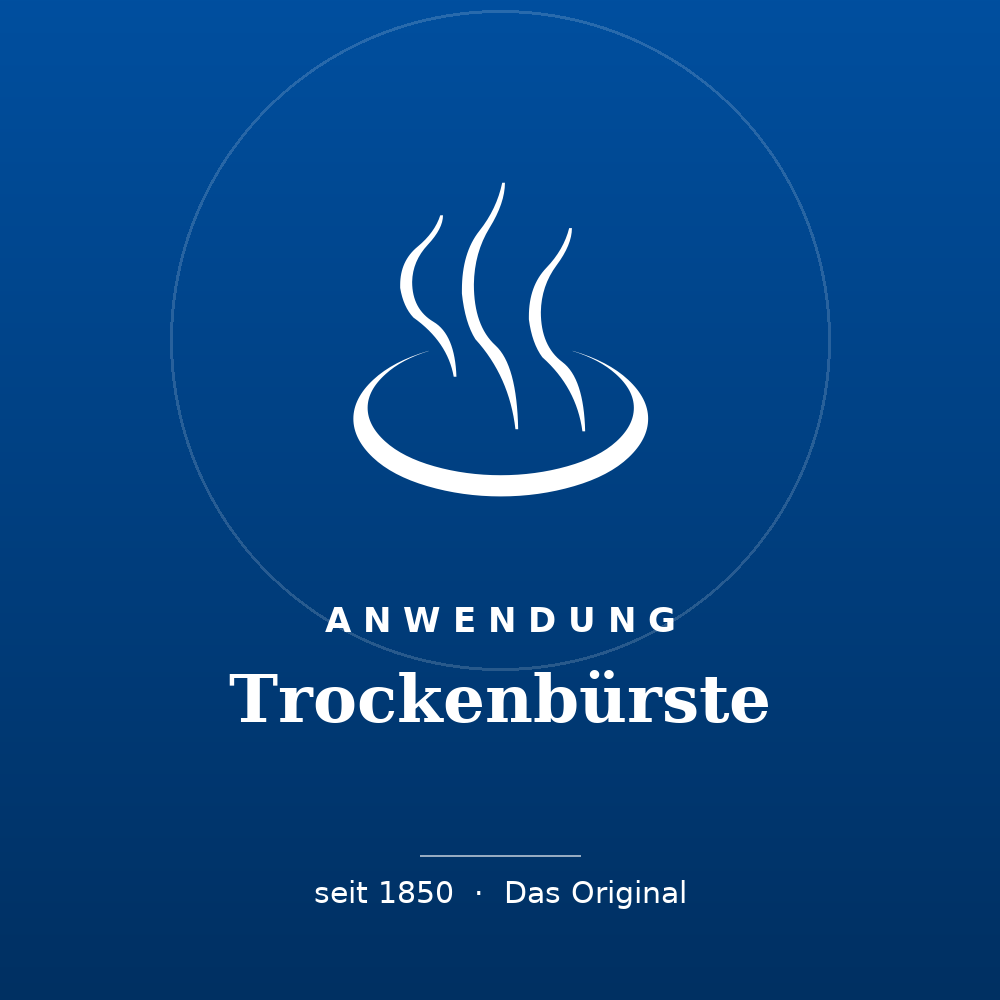 Trockenbürste